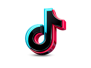 Litenetics Magnetic Christmas Lights on TikTok